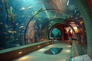 Oregon Coast Aquariums