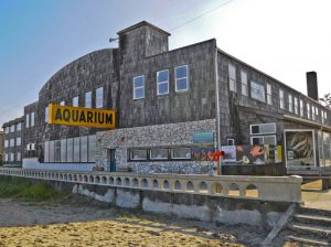 Seaside Aquarium